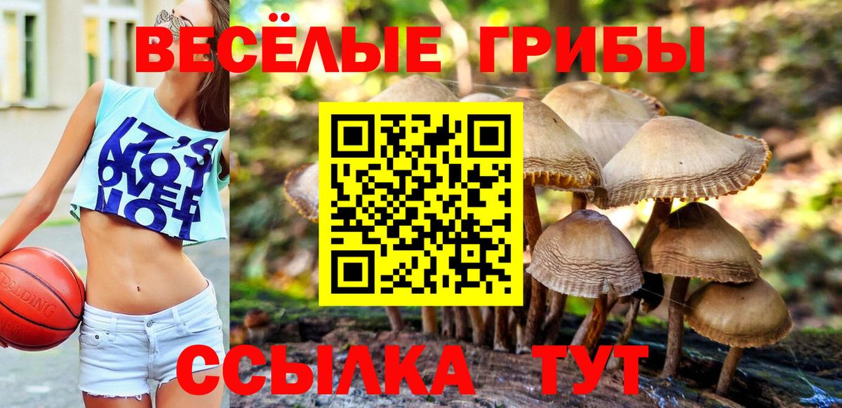 Псилоцибиновые грибы мухоморы  Псилоцибиновые грибы ЛСД  Вход с VPN  Горячий Ключ 