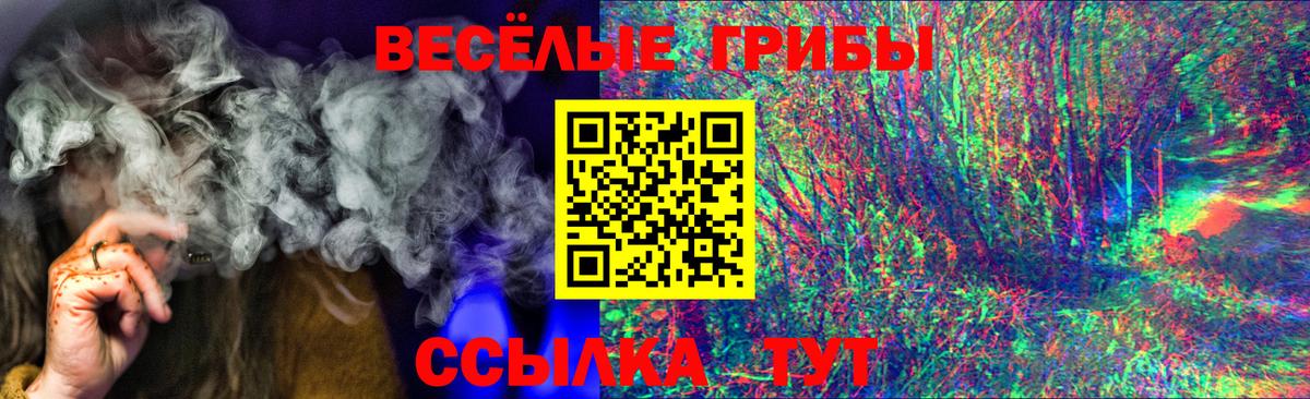 Галлюциногенные грибы Cubensis Горячий Ключ